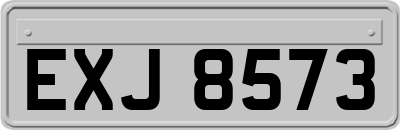 EXJ8573