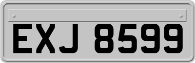 EXJ8599