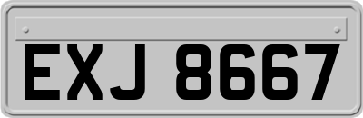 EXJ8667
