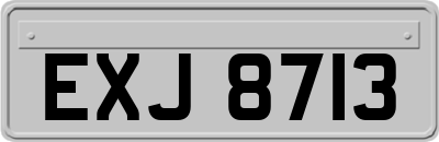EXJ8713