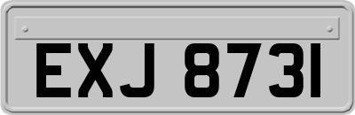 EXJ8731