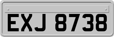 EXJ8738