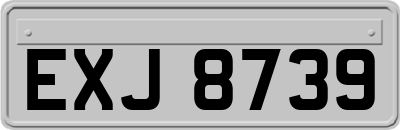 EXJ8739