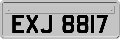 EXJ8817