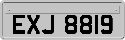 EXJ8819