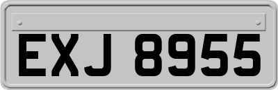 EXJ8955