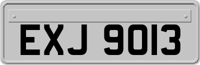 EXJ9013