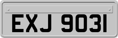 EXJ9031