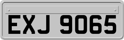 EXJ9065