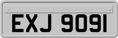 EXJ9091