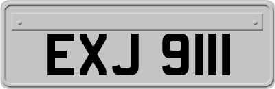 EXJ9111
