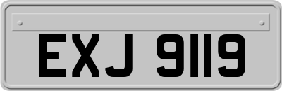 EXJ9119