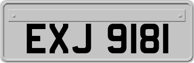 EXJ9181