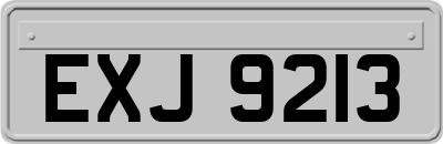 EXJ9213