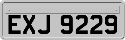 EXJ9229