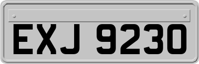 EXJ9230