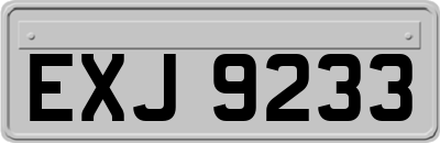 EXJ9233