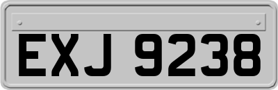 EXJ9238
