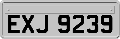 EXJ9239