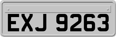EXJ9263