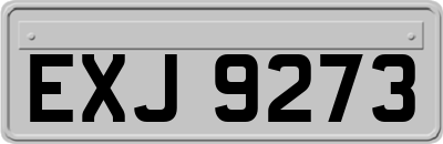 EXJ9273