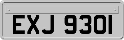 EXJ9301