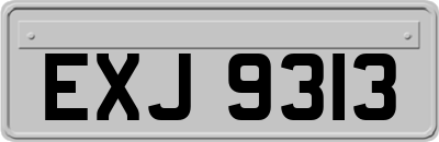 EXJ9313