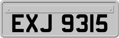 EXJ9315