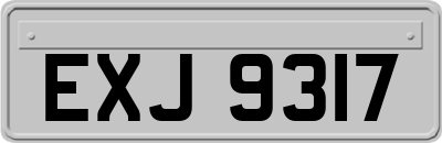 EXJ9317