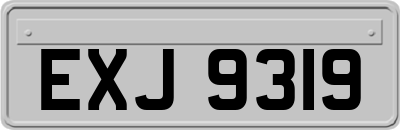 EXJ9319