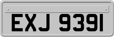 EXJ9391