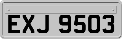 EXJ9503