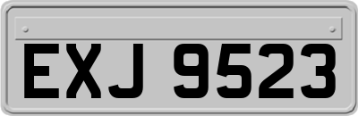 EXJ9523