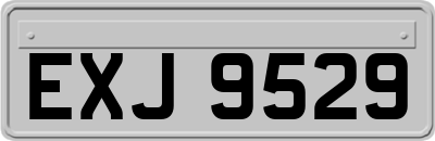 EXJ9529