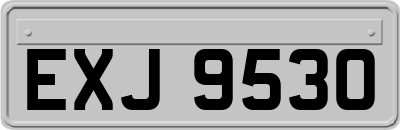 EXJ9530