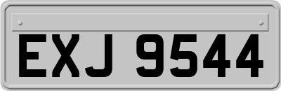 EXJ9544