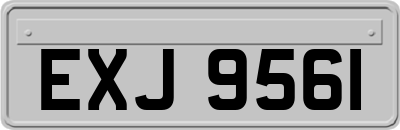 EXJ9561