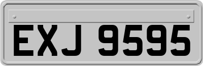 EXJ9595