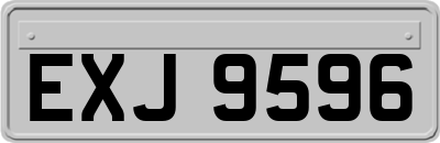 EXJ9596