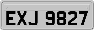 EXJ9827