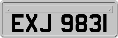 EXJ9831