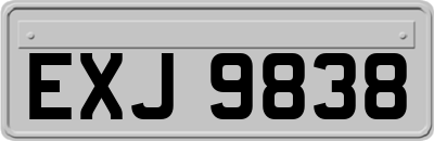 EXJ9838