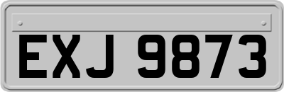 EXJ9873