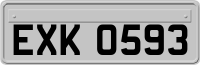EXK0593