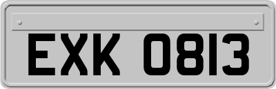 EXK0813