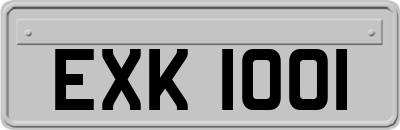 EXK1001