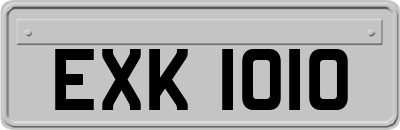 EXK1010