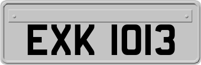 EXK1013