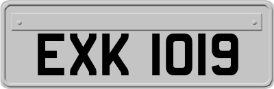 EXK1019