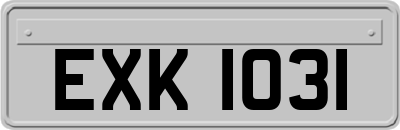 EXK1031